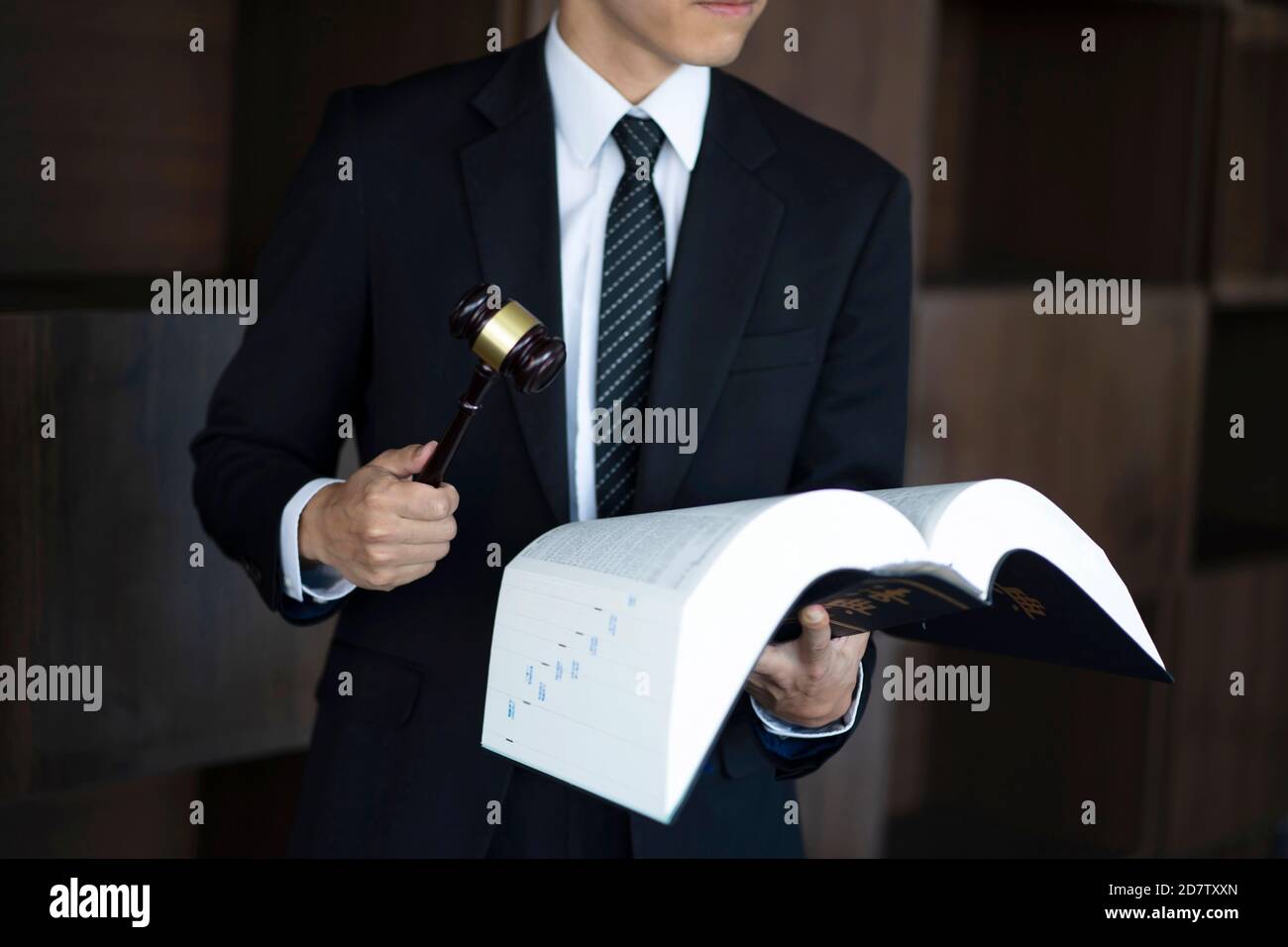 Lawyer holding law book and gavel Stock Photo Alamy