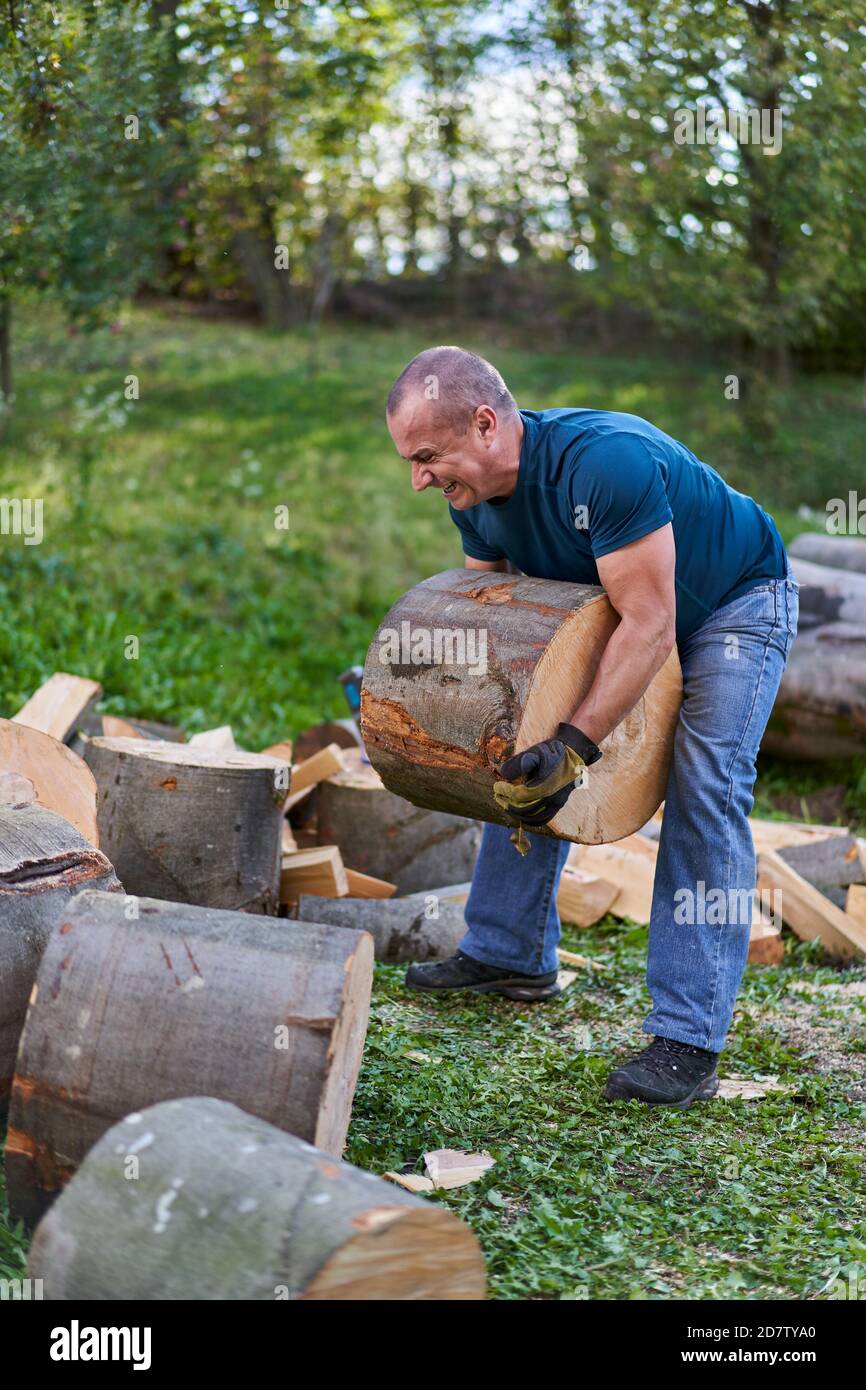 Strong lumberjack manhandling the logs Stock Photo - Alamy