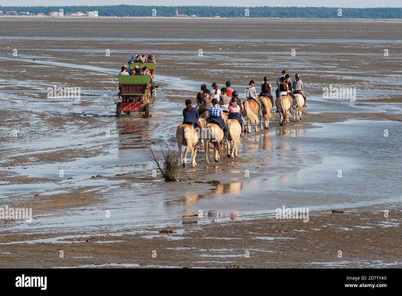 GERMANY, ISLAND NEUWERK, A group of young girls get ready to cross the wadden sea on horseback from the island of Neuwerk to the mainland Stock Photo
