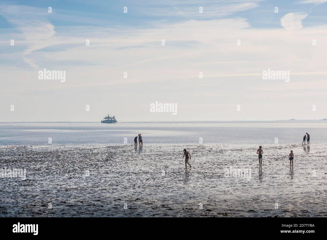 GERMANY, SCHLUETTSIEL, People enjoying  the wadden sea at low tide with a passing ferry between the harbor of Schluettsiel  and the Hallig Langeness Stock Photo