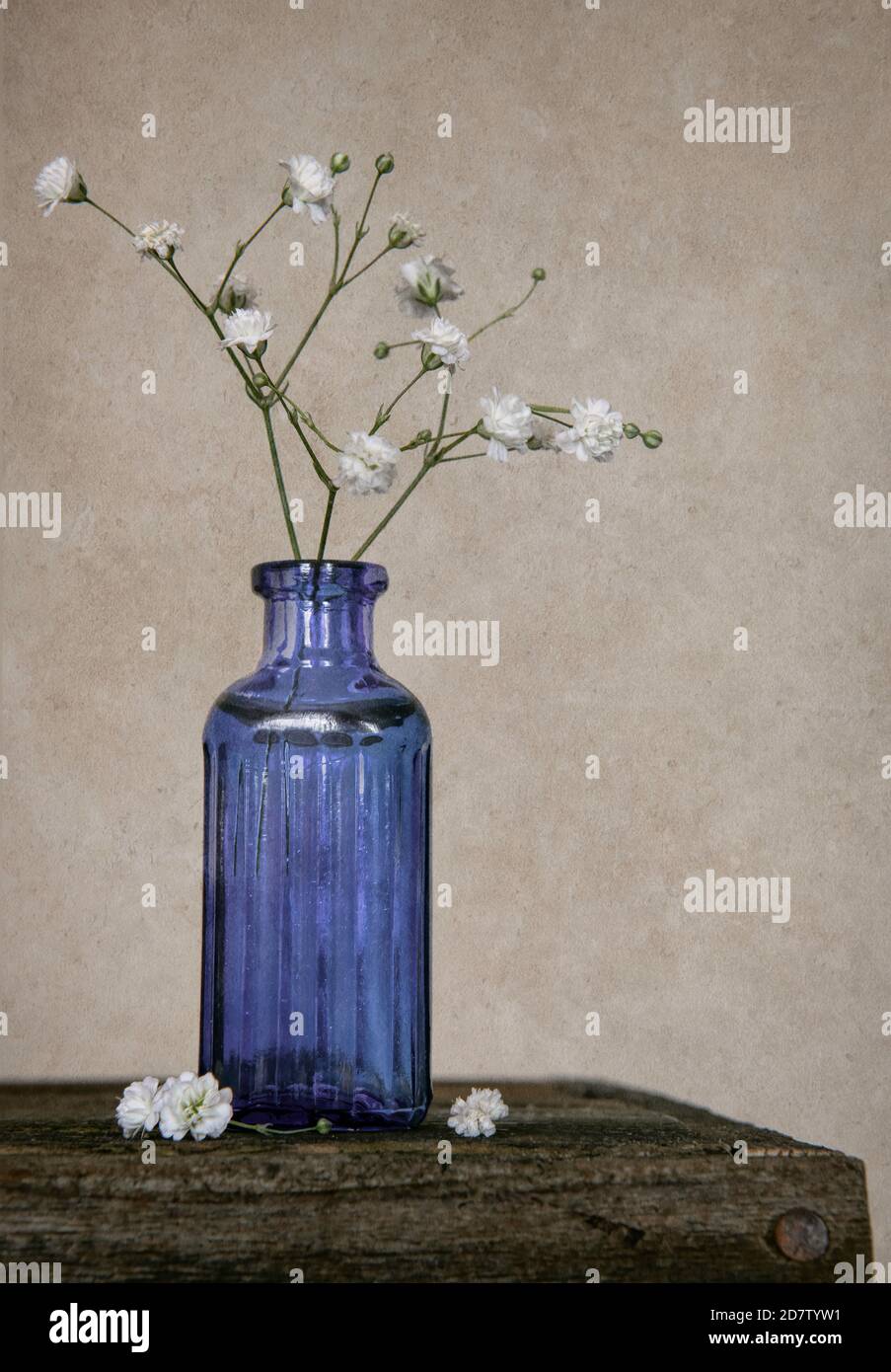 Baby's-breath in an old antique blue poison bottle sitting on an old ...