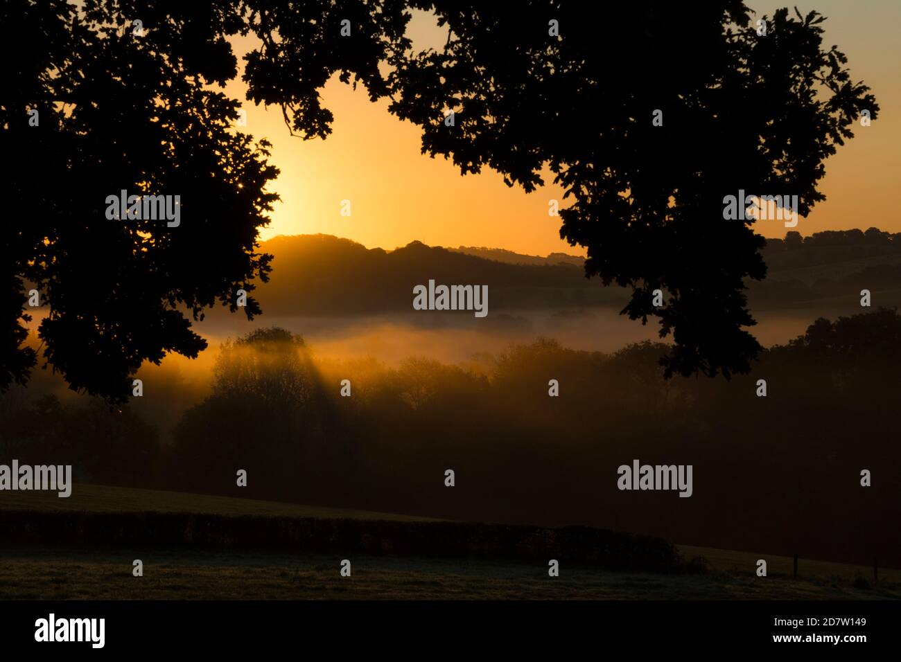 Early evening sky autumn trees hi-res stock photography and images - Alamy