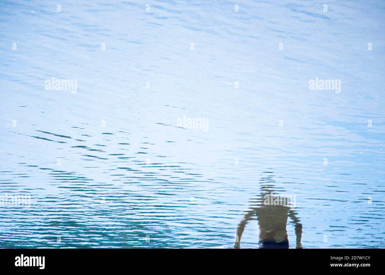 Reflection of one man standing in water, going into the river flow Stock Photo
