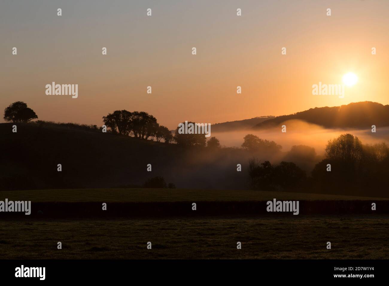 Morning sunshine over Devon countryside Stock Photo