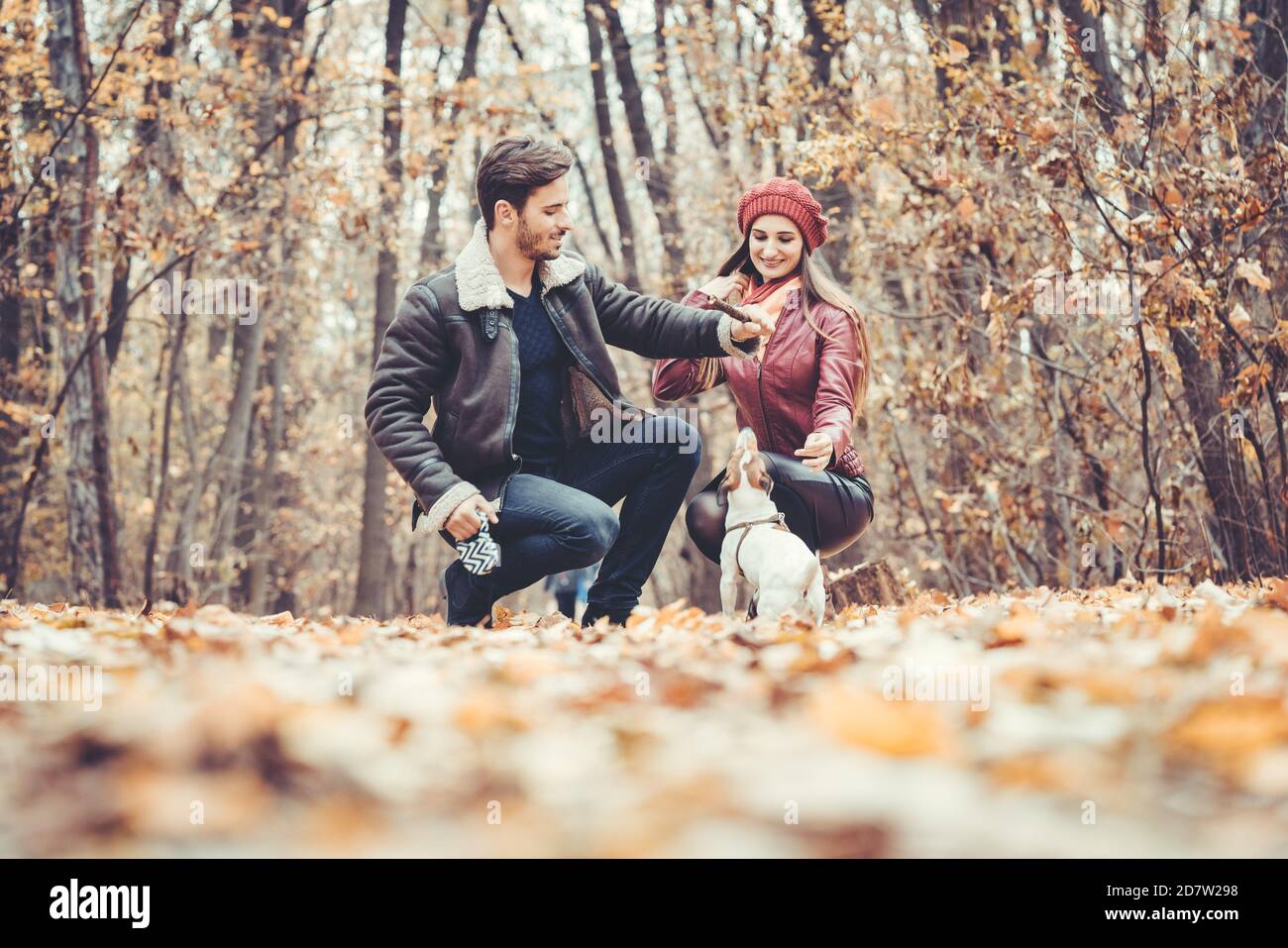 Couple in fall having walk with dog in a park Stock Photo - Alamy