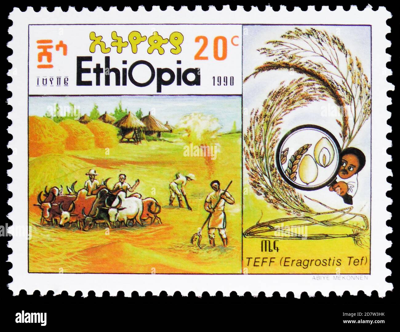 MOSCOW, RUSSIA - OCTOBER 9, 2020: Postage stamp printed in Ethiopia shows Cattle, Cultivation of cereal Tef (Eragrostis tef) serie, circa 1990 Stock Photo