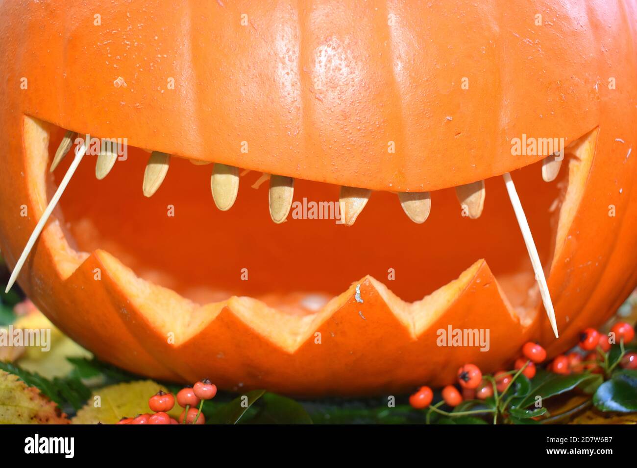 Jack o lanterns turnips hires stock photography and images Alamy