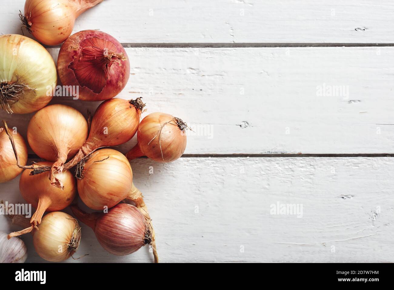 Red white yellow onions hi-res stock photography and images - Alamy