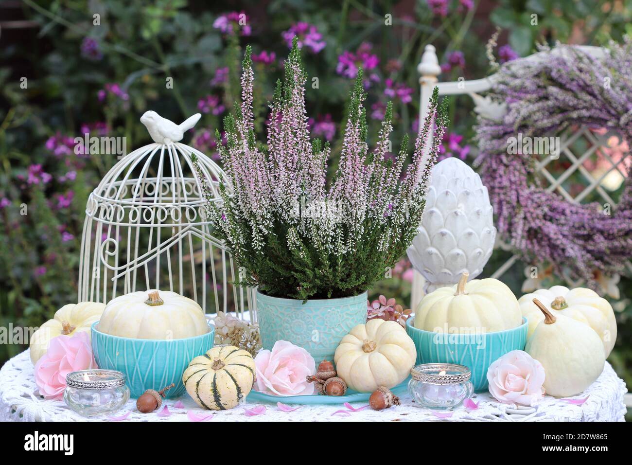 romantic autumn decoration with heather flower and white pumpkins Stock Photo