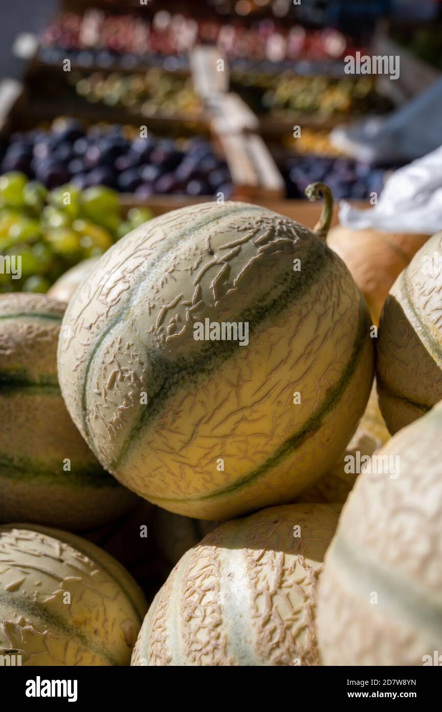 New harvest of sweet honey melons from Cavaillon, Provence, France on