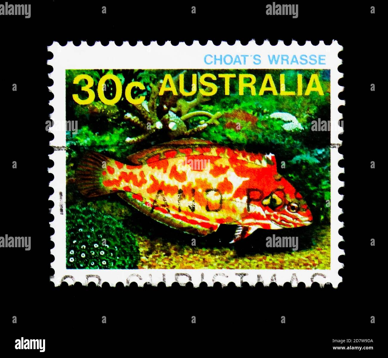 MOSCOW, RUSSIA - MARCH 28, 2018: A stamp printed in Australia shows Choat's Red Leopard Wrasse (Macropharyngodon choati), Sea Life serie, circa 1984 Stock Photo
