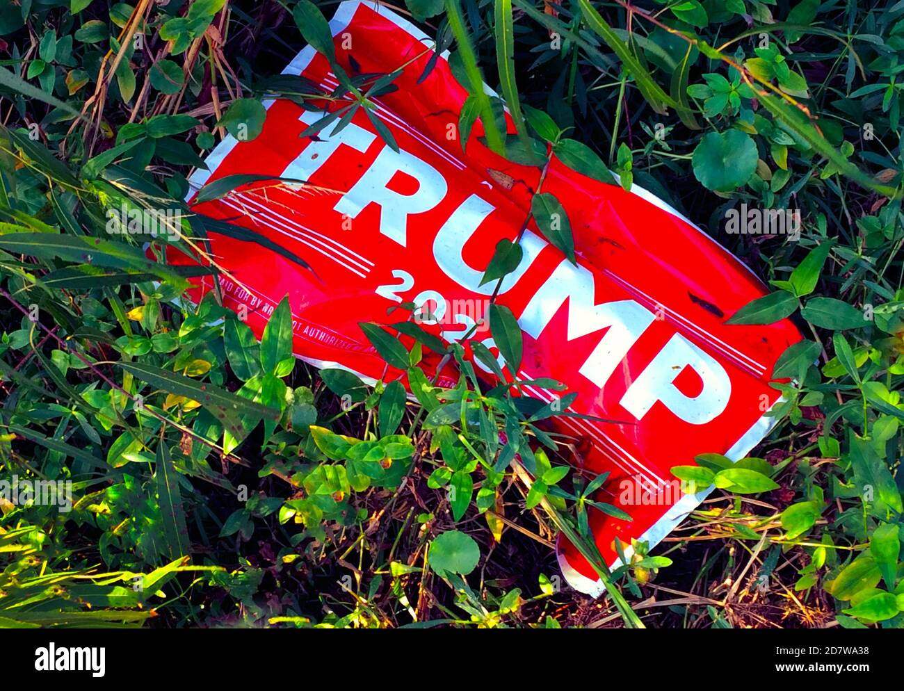 A political campaign sign for Donald J. Trump during the 2020 race for U.S. President has been discarded in the weeds on the west coast of Florida. That is one of the battleground states that determines who wins the four-year presidential office in a prolonged election season that pitted the Republican incumbent Trump against his Democratic party rival, Joseph R. Biden, Jr. Joe Biden was eventually the victor in the hard-fought contest. He previously served as the American vice president under Barack Obama for two terms from 2009 to 2017. Stock Photo