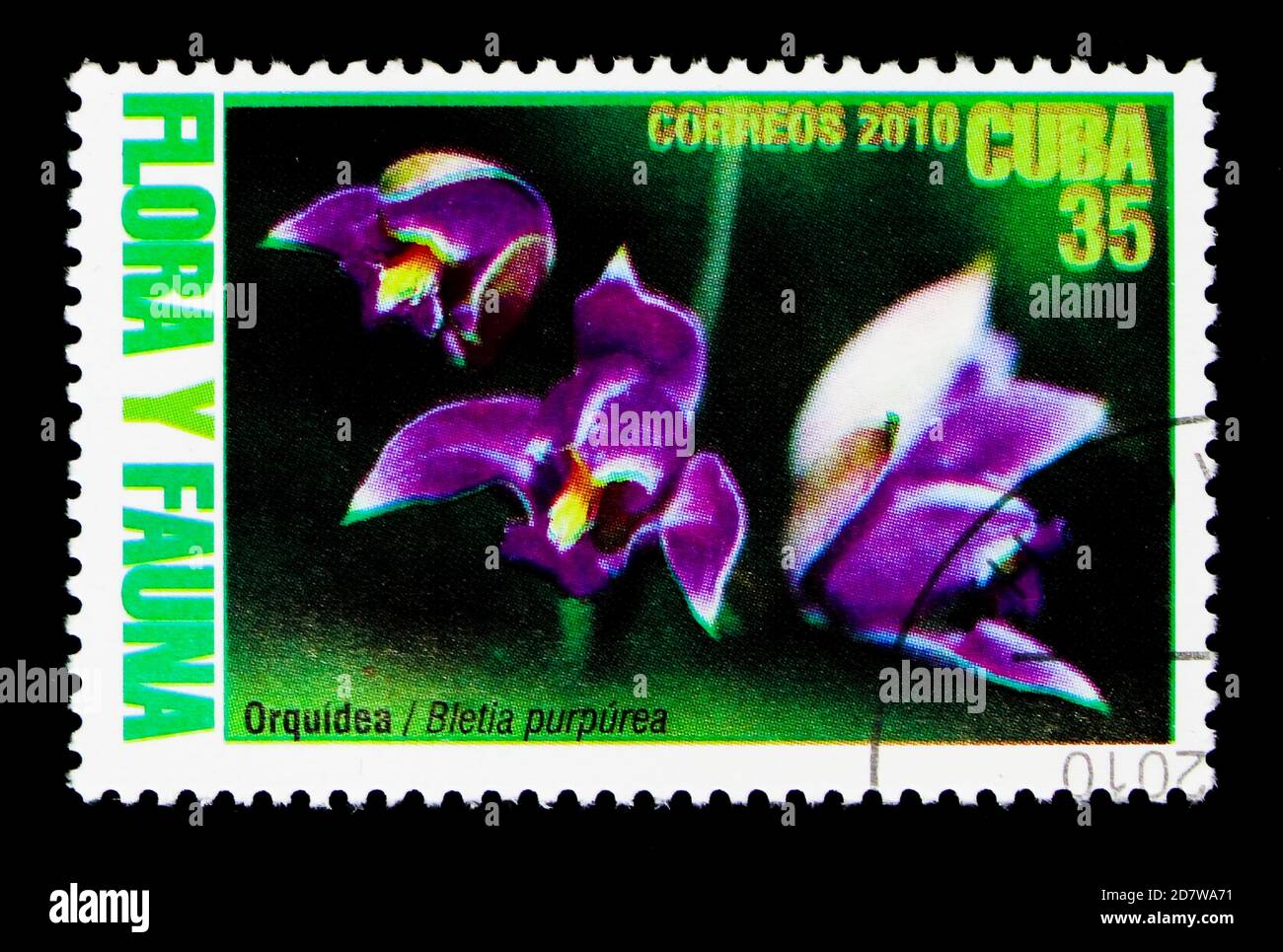 MOSCOW, RUSSIA - MARCH 28, 2018: A stamp printed in Cuba shows Bletia purpurea, Flora & Fauna serie, circa 2010 Stock Photo