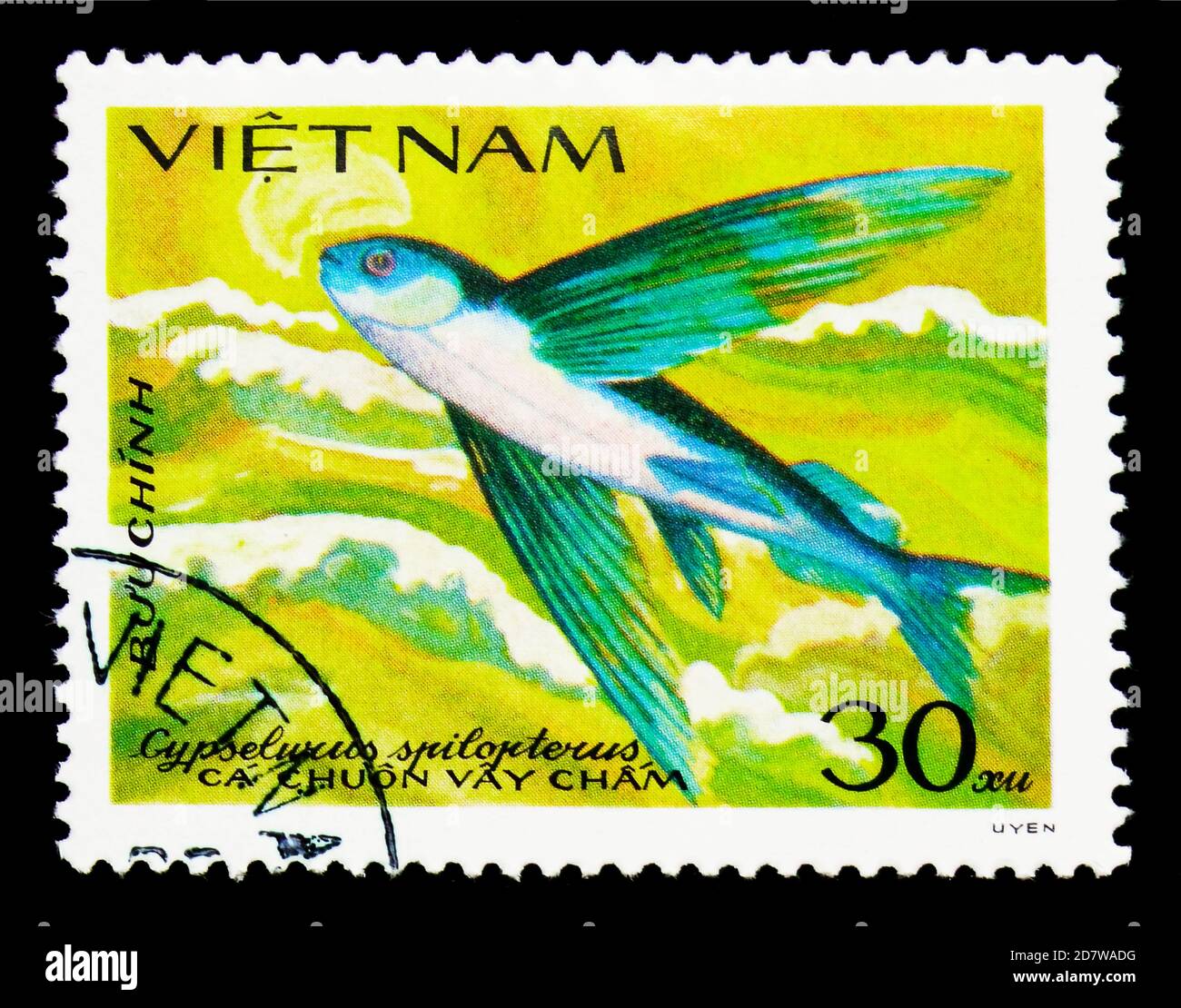 MOSCOW, RUSSIA - MARCH 28, 2018: A stamp printed in Vietnam shows Flying Fish (Cypselurus spilopterus), Fish serie, circa 1984 Stock Photo
