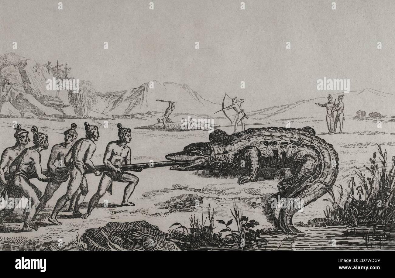 16th century French expedition. Florida. Crocodile hunting. In the expedition Jacques Le Moyne de Morgues (1533-1588) made the illustrations. 19th century engraving by Fortier after the original of Jacques Le Moyne. Panorama Universal. History of the United States of America, from 1st edition of Jean B.G. Roux de Rochelle's Etats-Unis d'Amérique in 1837. Spanish edition, printed in Barcelona, 1850. Stock Photo