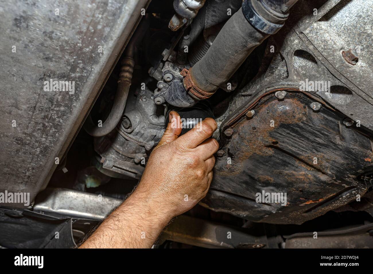 The car mechanic screws a new oil filter on the bottom of the engine
