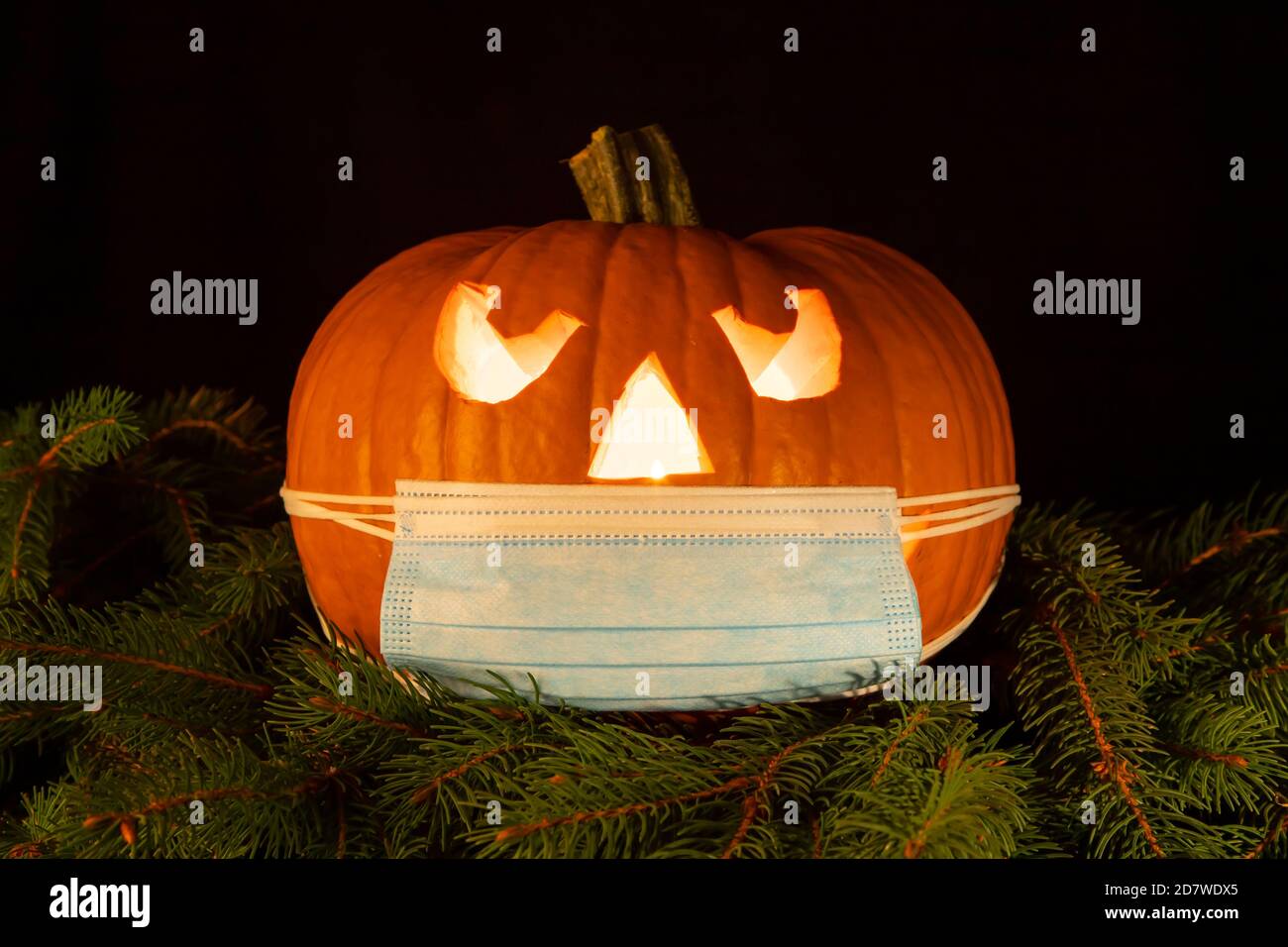 Download Qwhlp5bviplt M PSD Mockup Templates