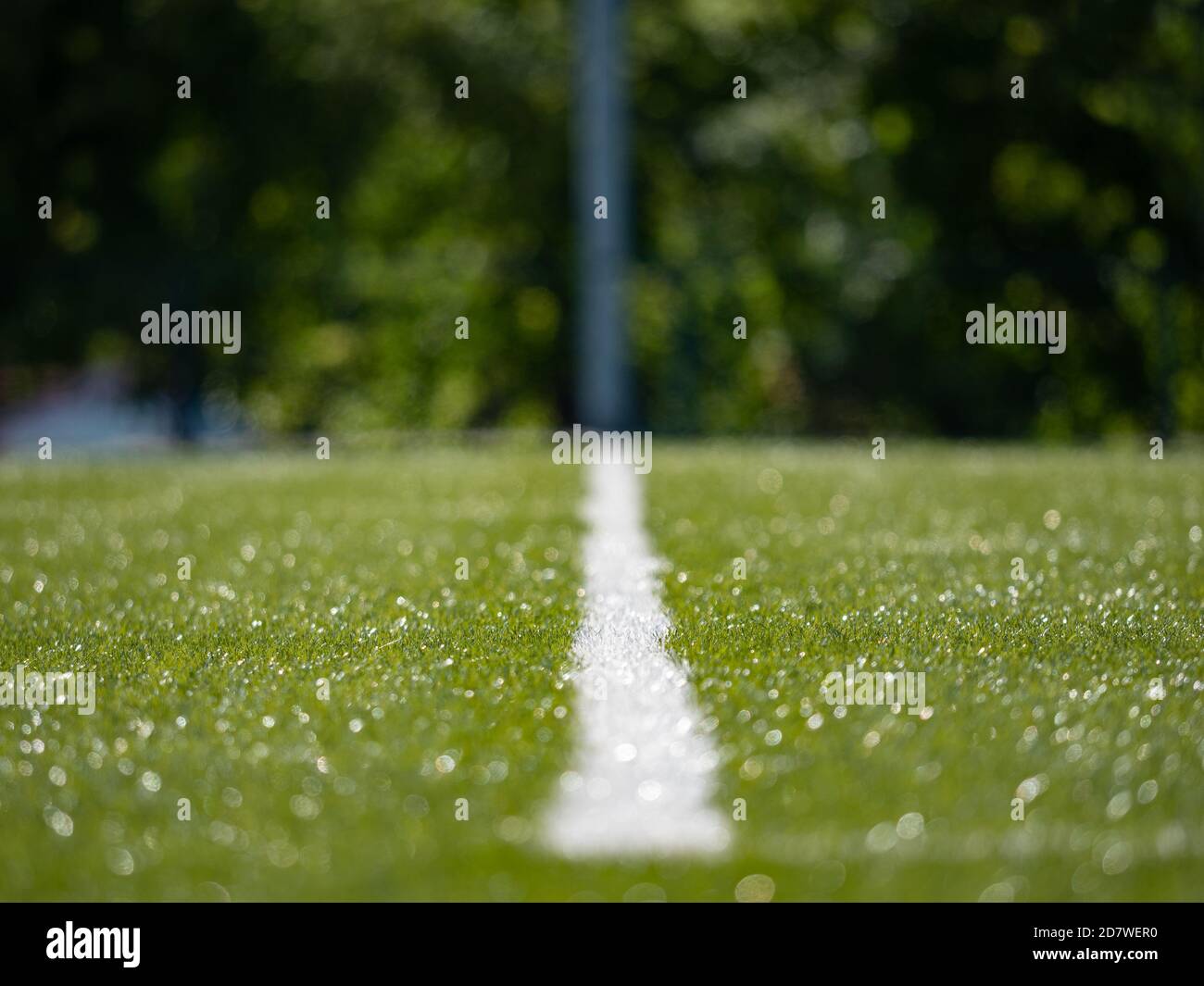 Lines on soccer football field, sport background. Green Artificial Grass Turf Field with White