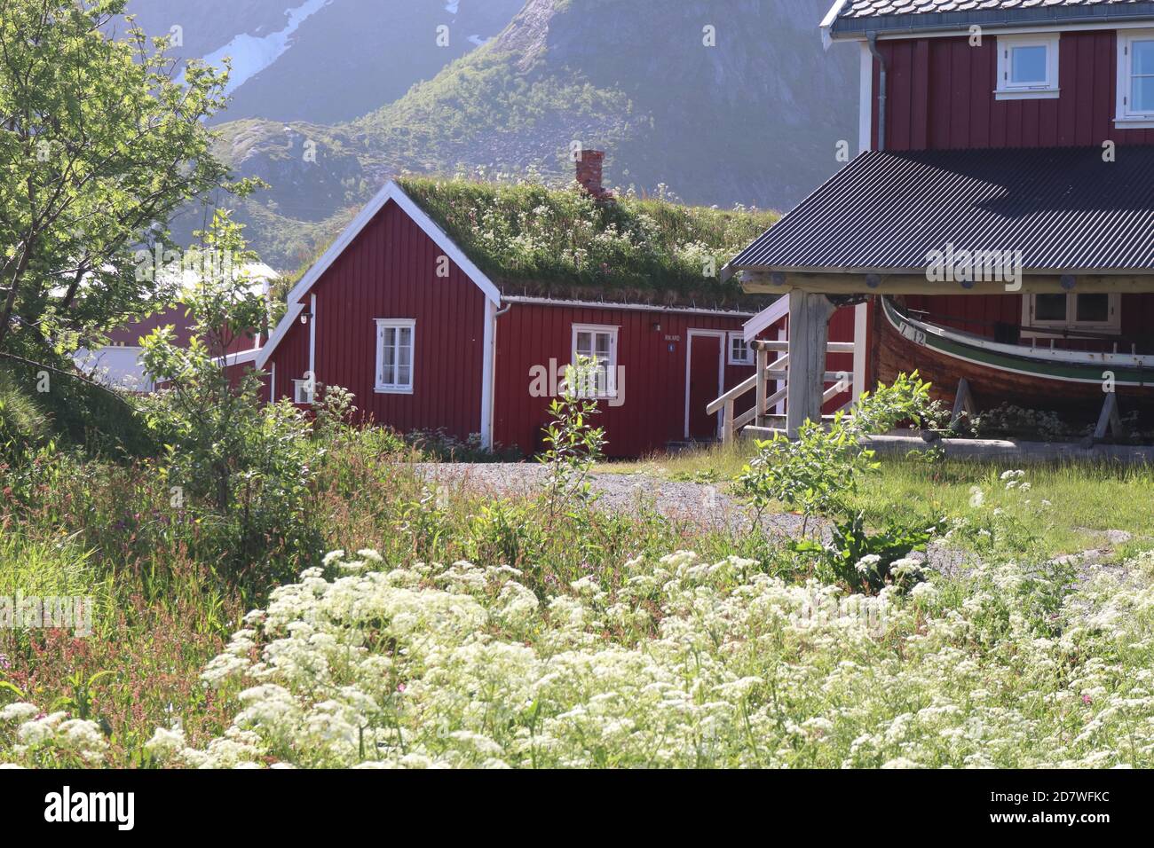 Reine / Norway - June 15 2019: Red cabins, called Robu / Rorbuer in norway with grass roofs Stock Photo