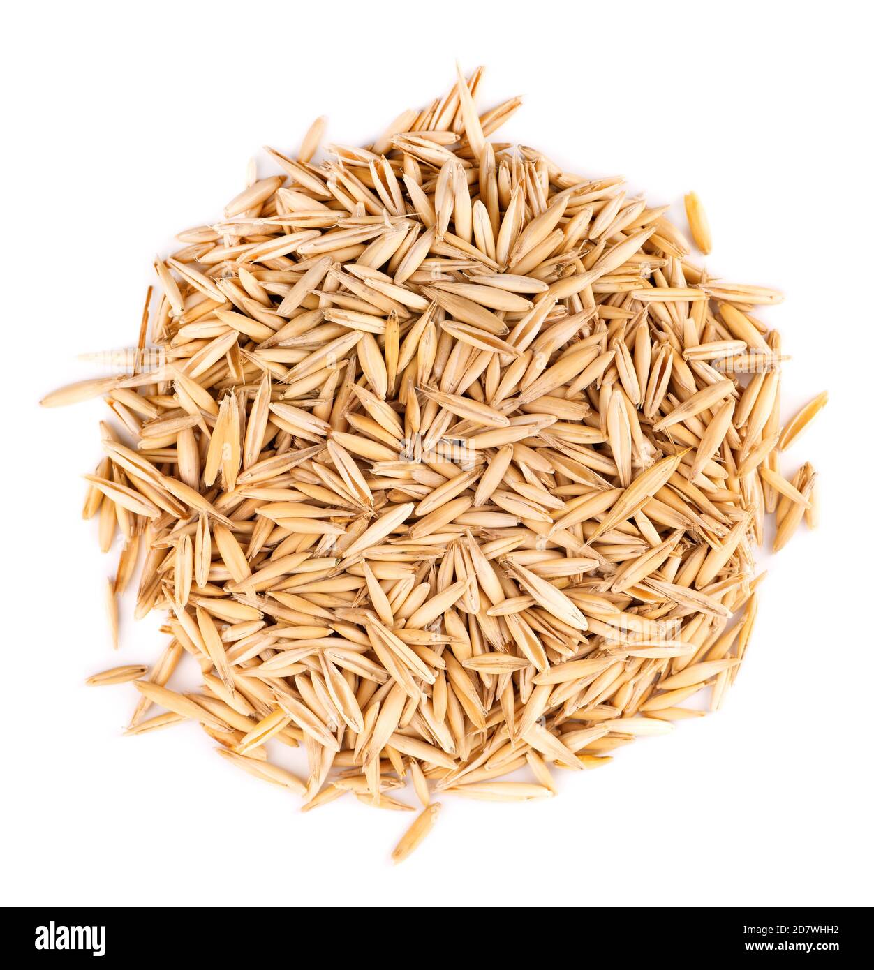 Unpeeled oat grains, isolated on white background. Organic dry oat seeds. Top view. Stock Photo