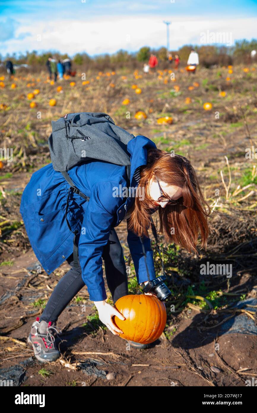 A young woman lifting up a pumpkin at a pumpkin patch, ready for Halloween. Stock Photo