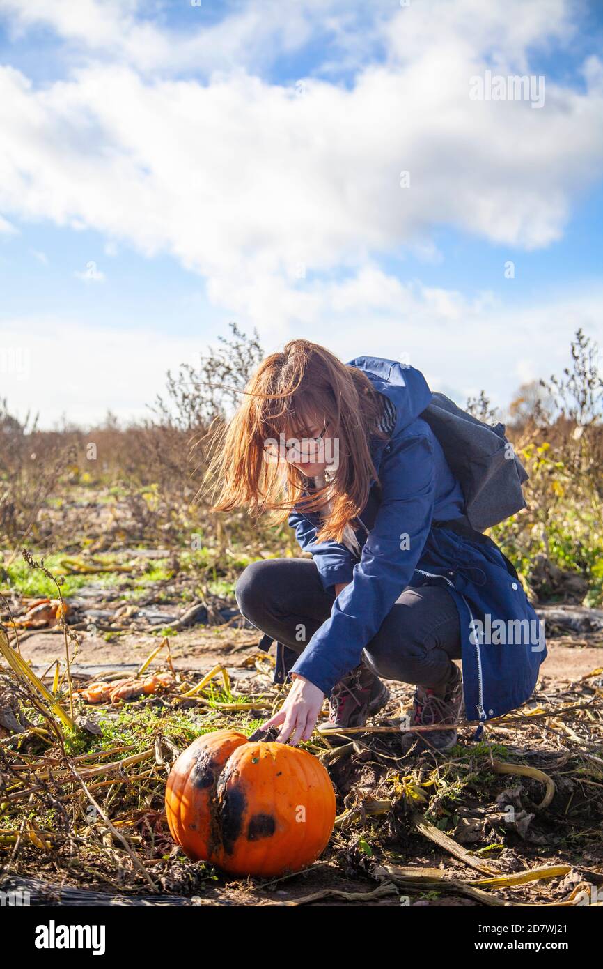 A young woman picking an inspecting a pumpkin at a pumpkin patch under a blue sky, ready for Halloween. Stock Photo