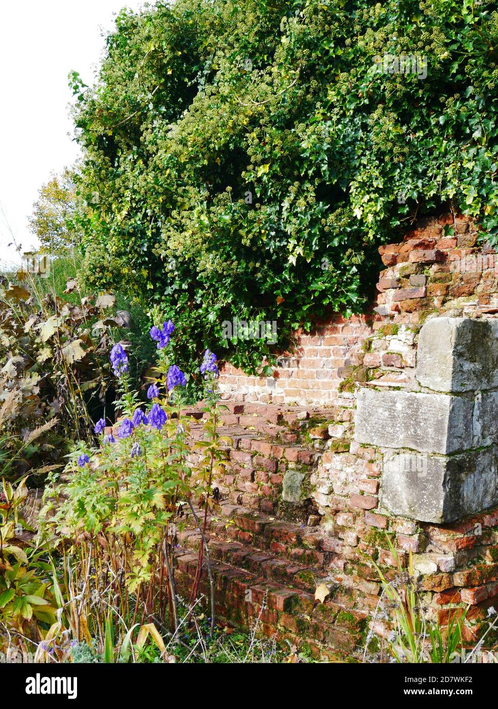 Eltham Palace, Eltham, London, England Stock Photo Alamy