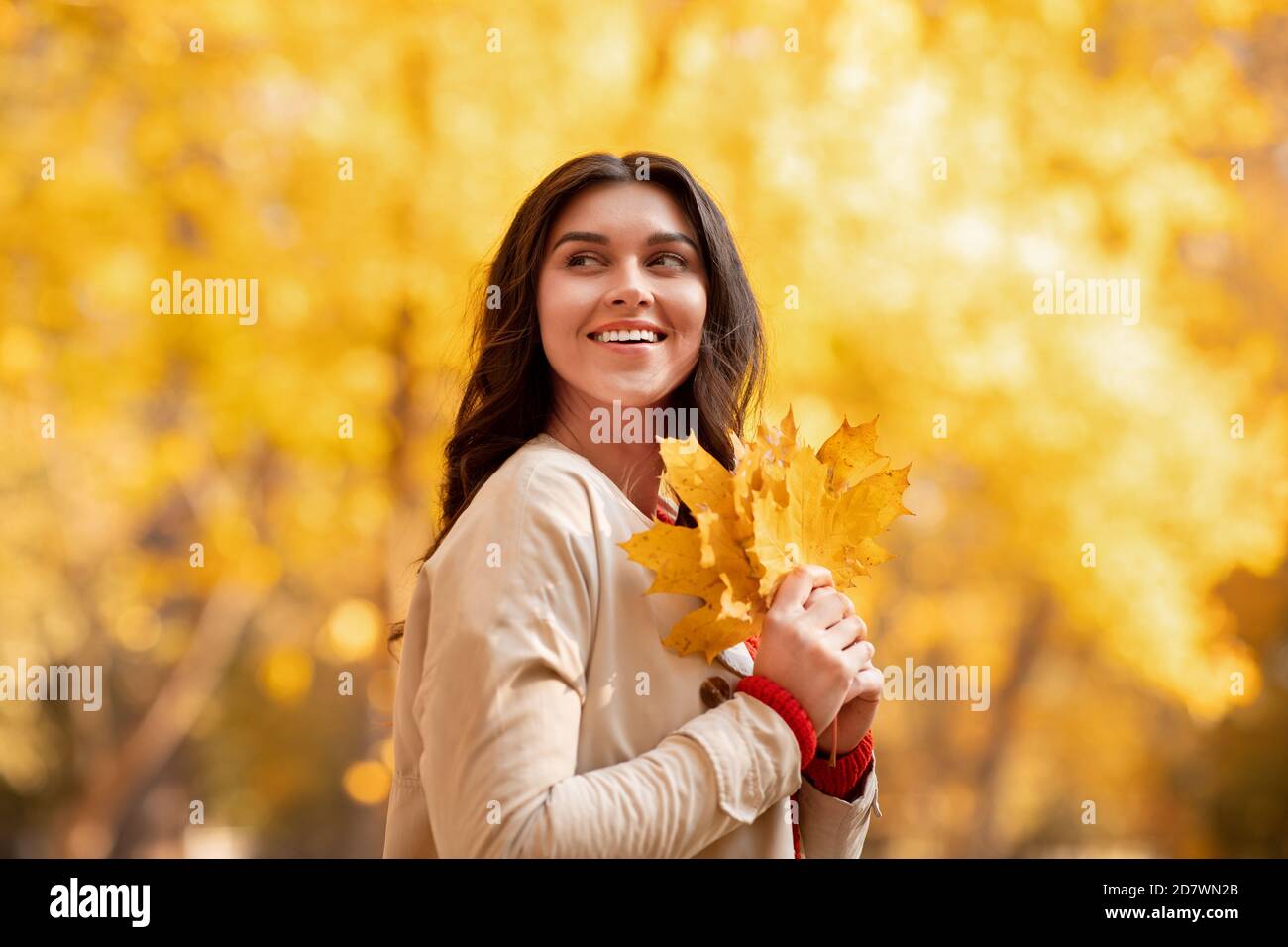 Pretty millennial woman with yellow leaves walking at autumn park Stock ...