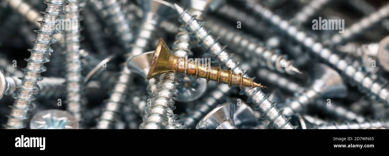 Universal silver screws of different sizes closeup Stock Photo Alamy