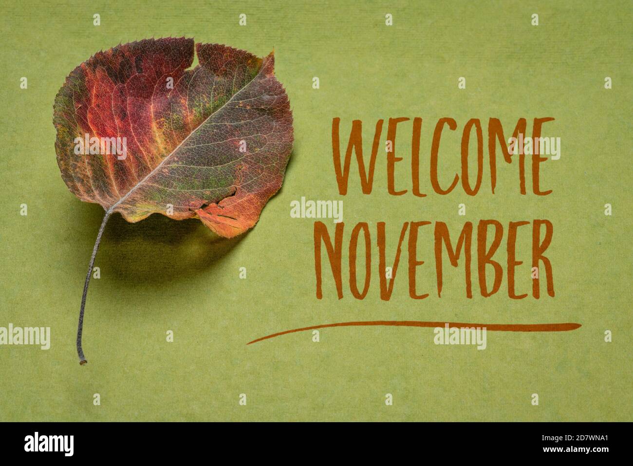welcome november 1