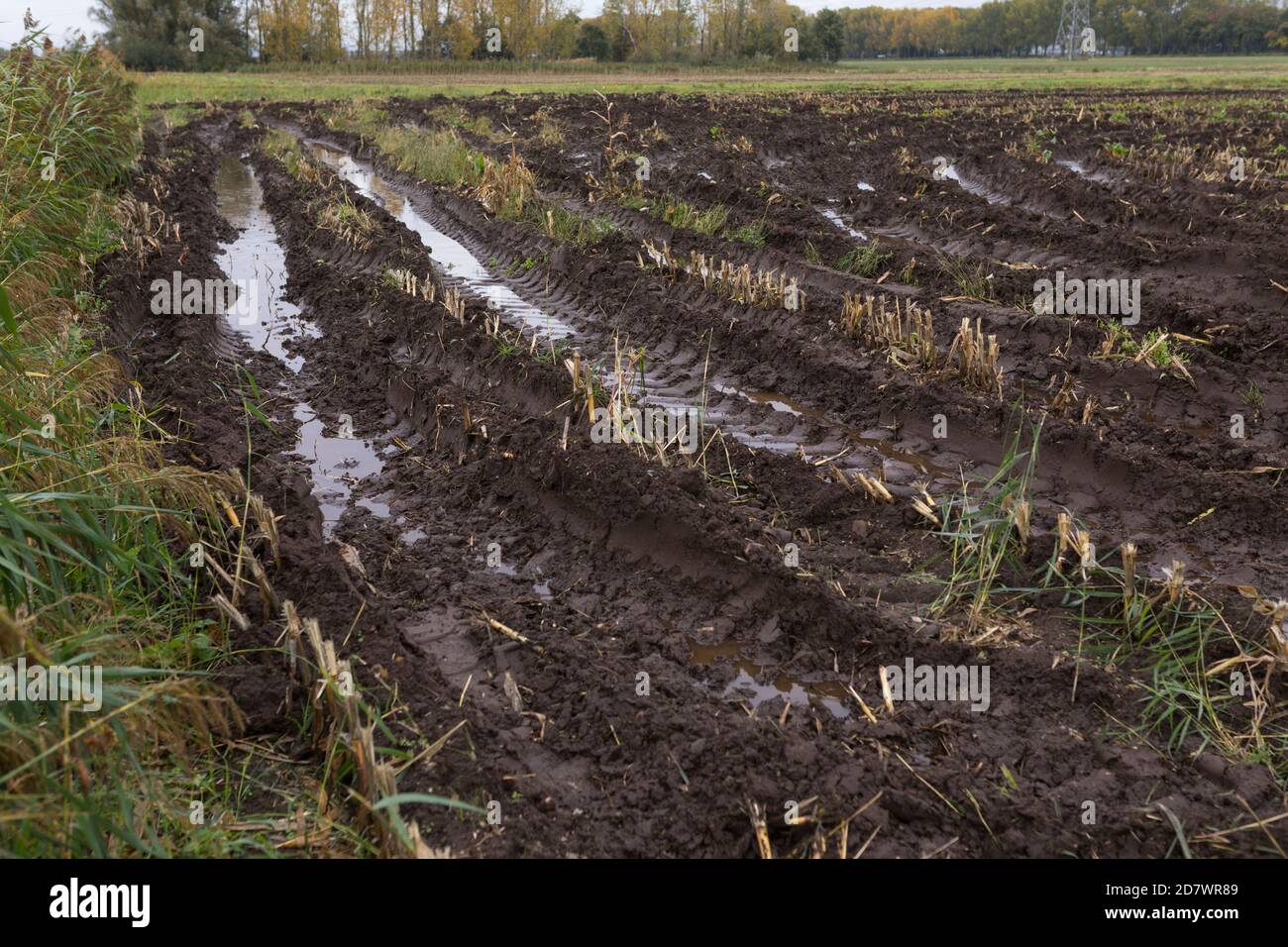 Cultivated field wet soil hi-res stock photography and images - Alamy