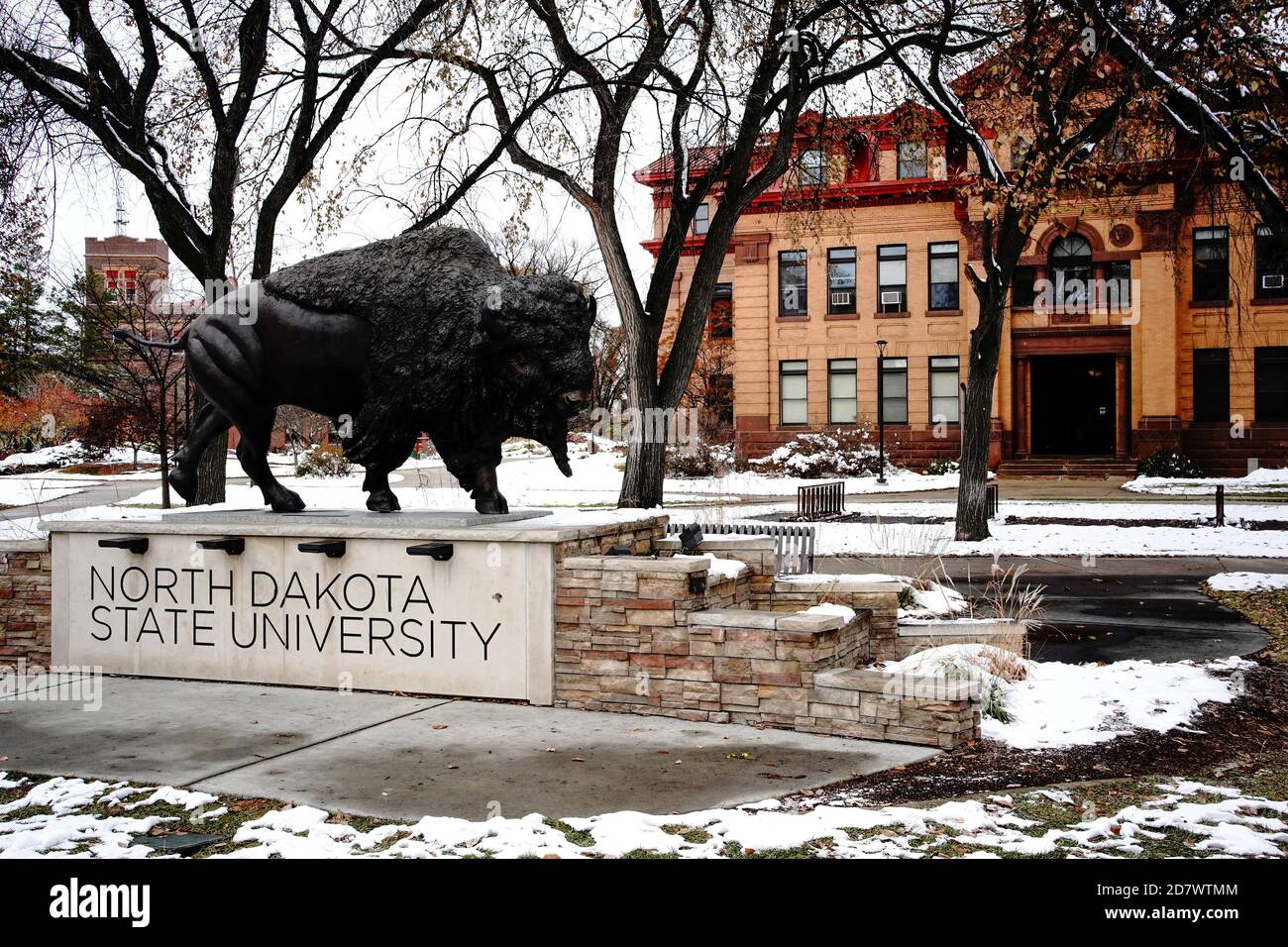 Ndsu Id Card