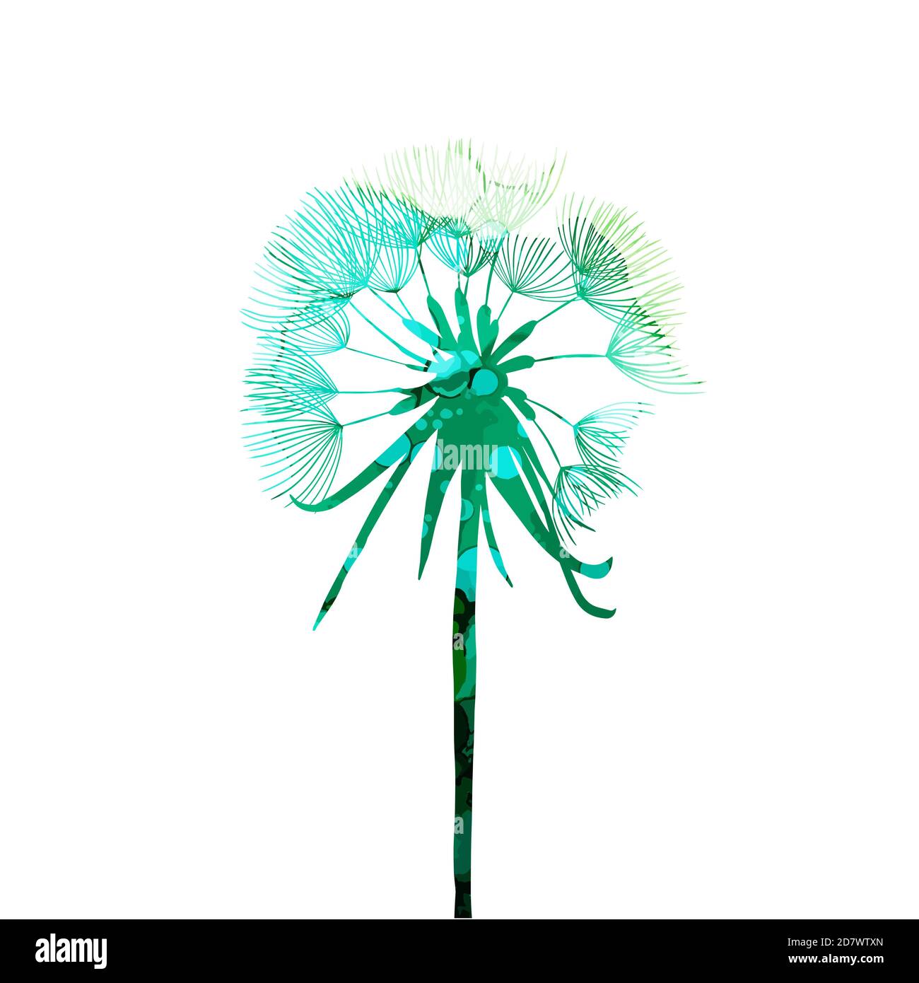 Beautiful colored dandelion. Vector illustration Stock Vector