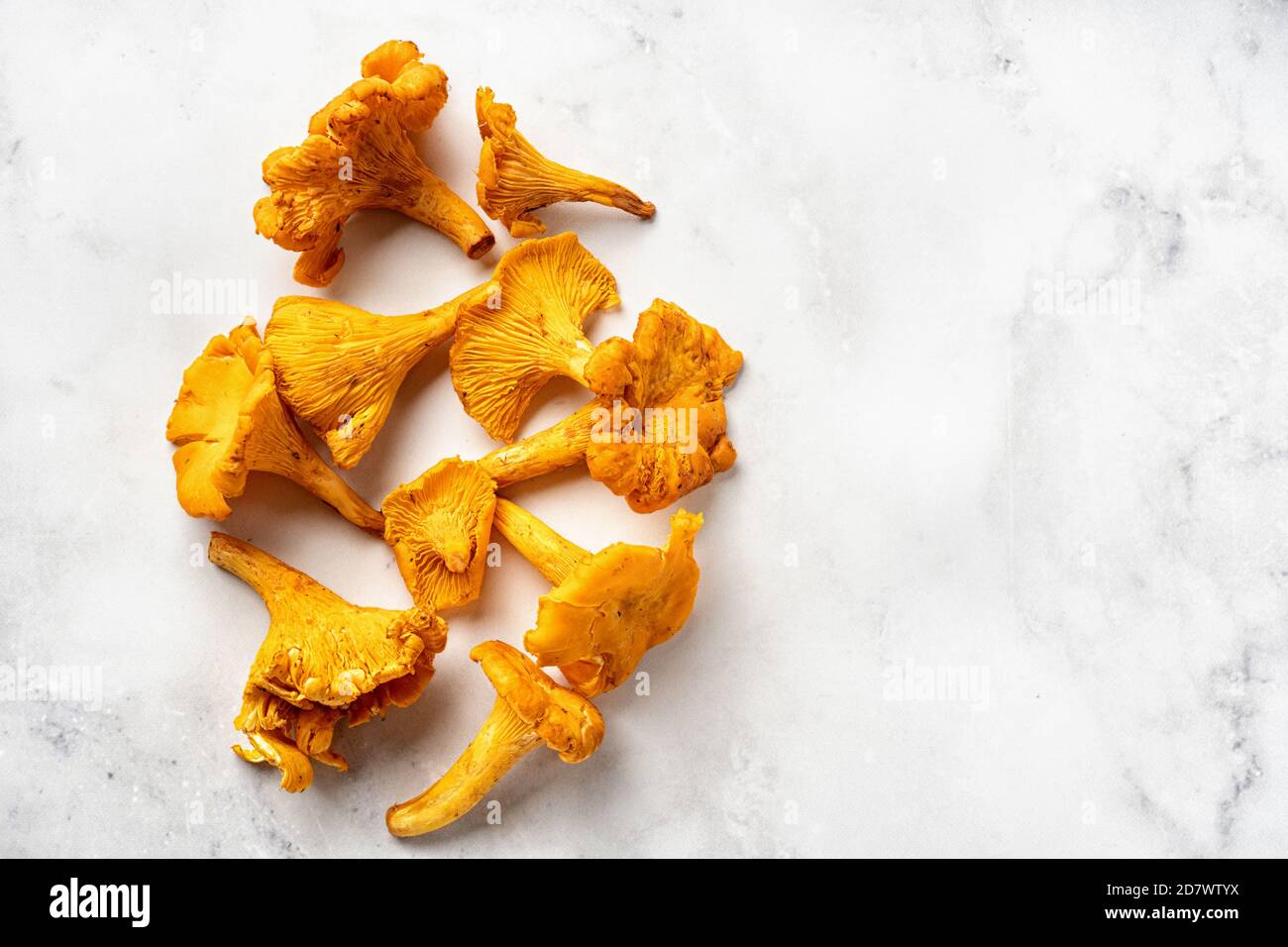 Fresh chanterelles on white background Stock Photo Alamy