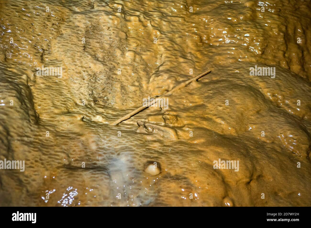 Broken stalactite re-covered in flowstone in a cave in Lathkilldale, Derbyshire. Stock Photo