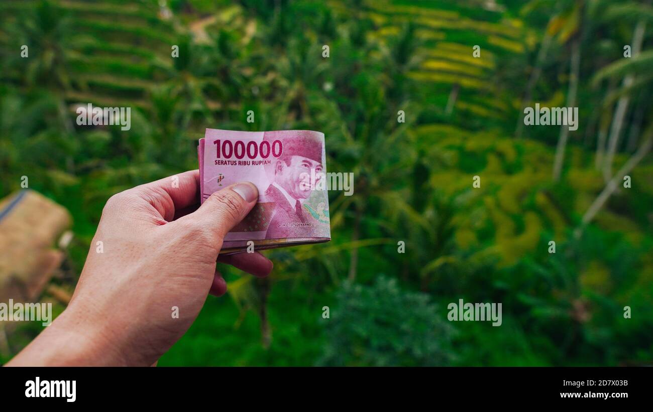 Tourist showing indonesian money in the hand rice terrace Stock Photo