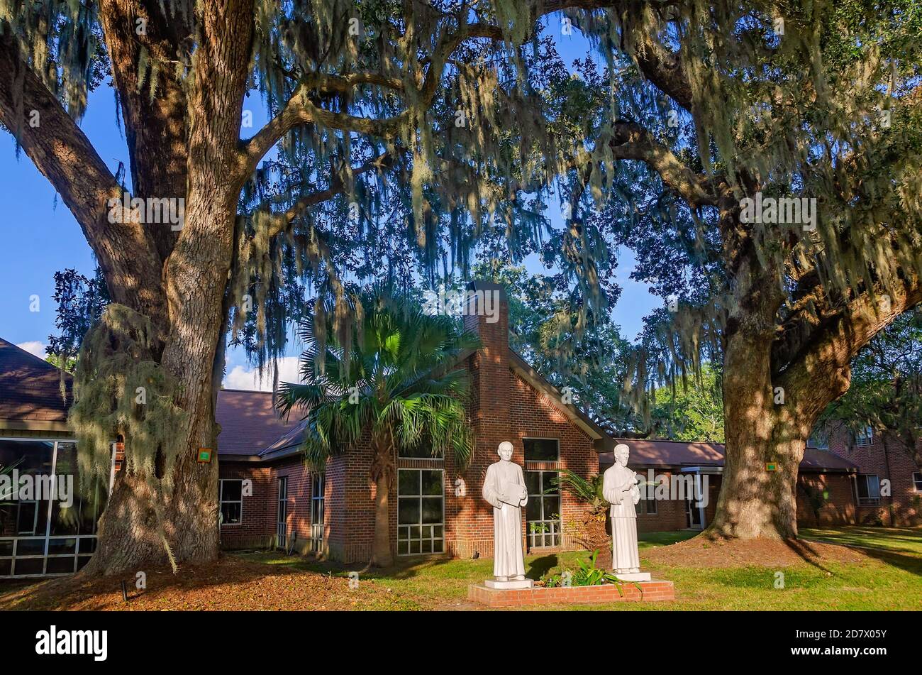 Spanish moss drapes over statues of saints at St. Augustine’s Seminary