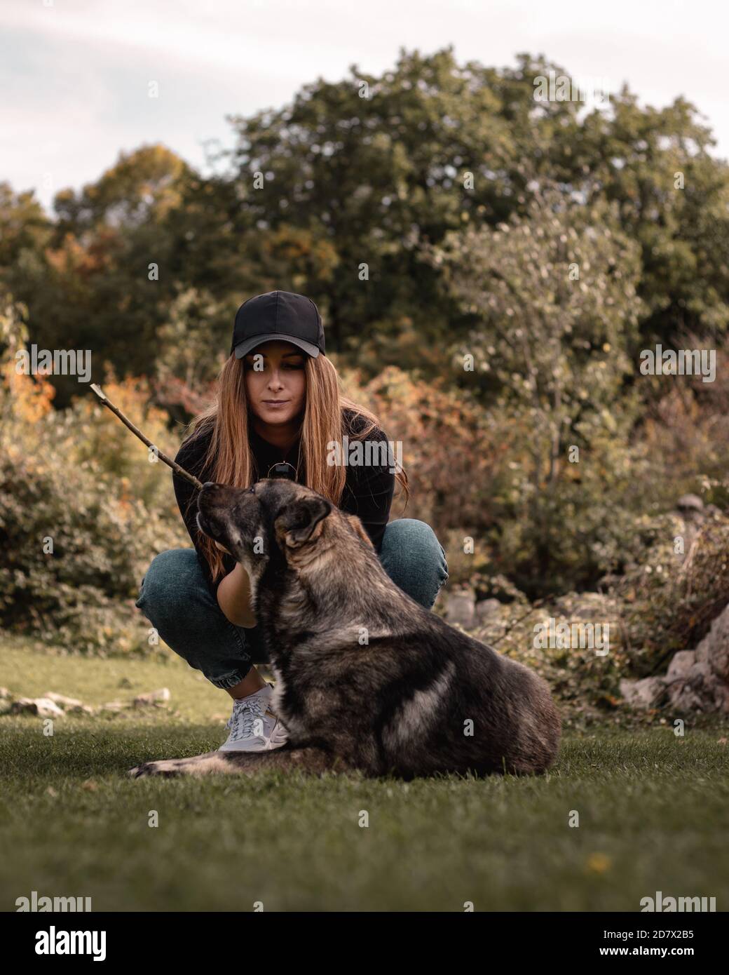 Vertical shot of a brunette woman crouching down to play with a stray dog  in the middle of a field, holding a stick playing fetch. Brown colors  domina Stock Photo - Alamy