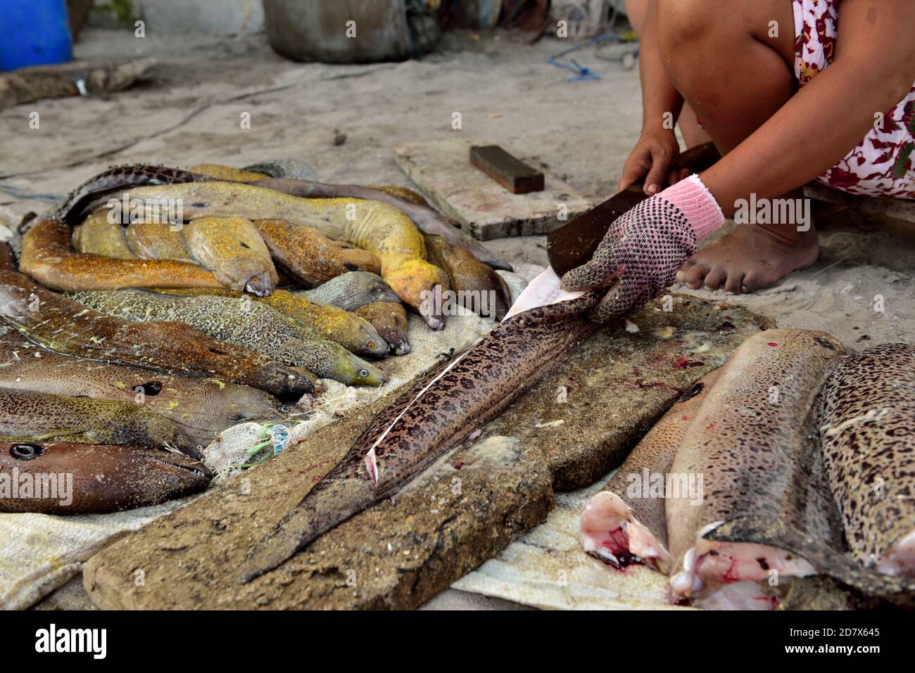 Splited Fish Form Dried fish daing hi-res stock photography and images - Alamy