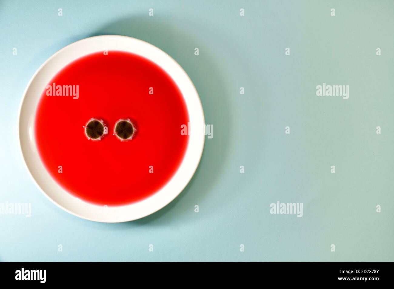 Two eyes of mould fungus, on a plate of fruit tea. Left on a mint colored background. Stock Photo