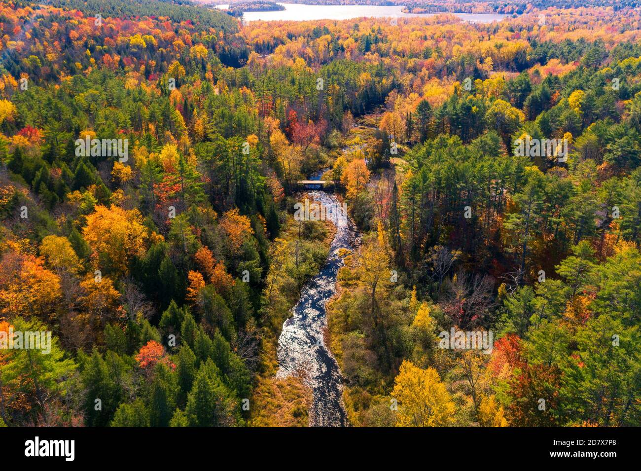 Aerial view of Winding River Through Autumn Trees with Fall Colors in Adirondacks, New York, New England Stock Photo