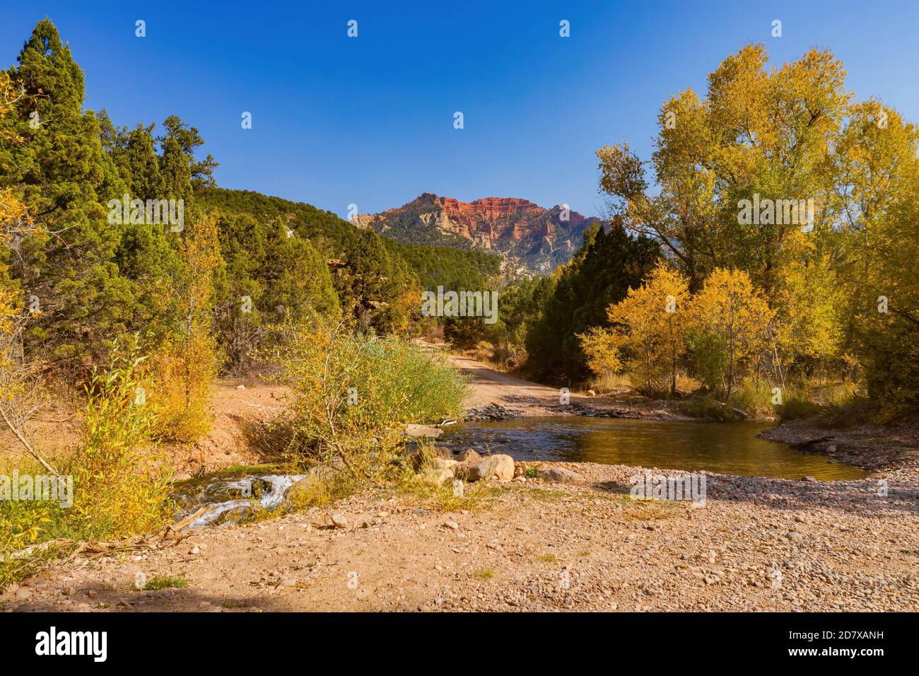Sunny view of beautiful fall color around Brian Head area at Utah Stock Photo