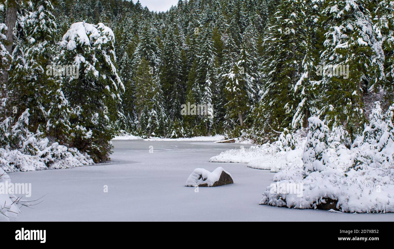 Frozen lake in snowy woods. Stock Photo