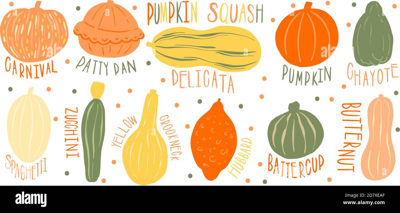 Pumpkin set type name collection.Varieties shape and color.Collection ...