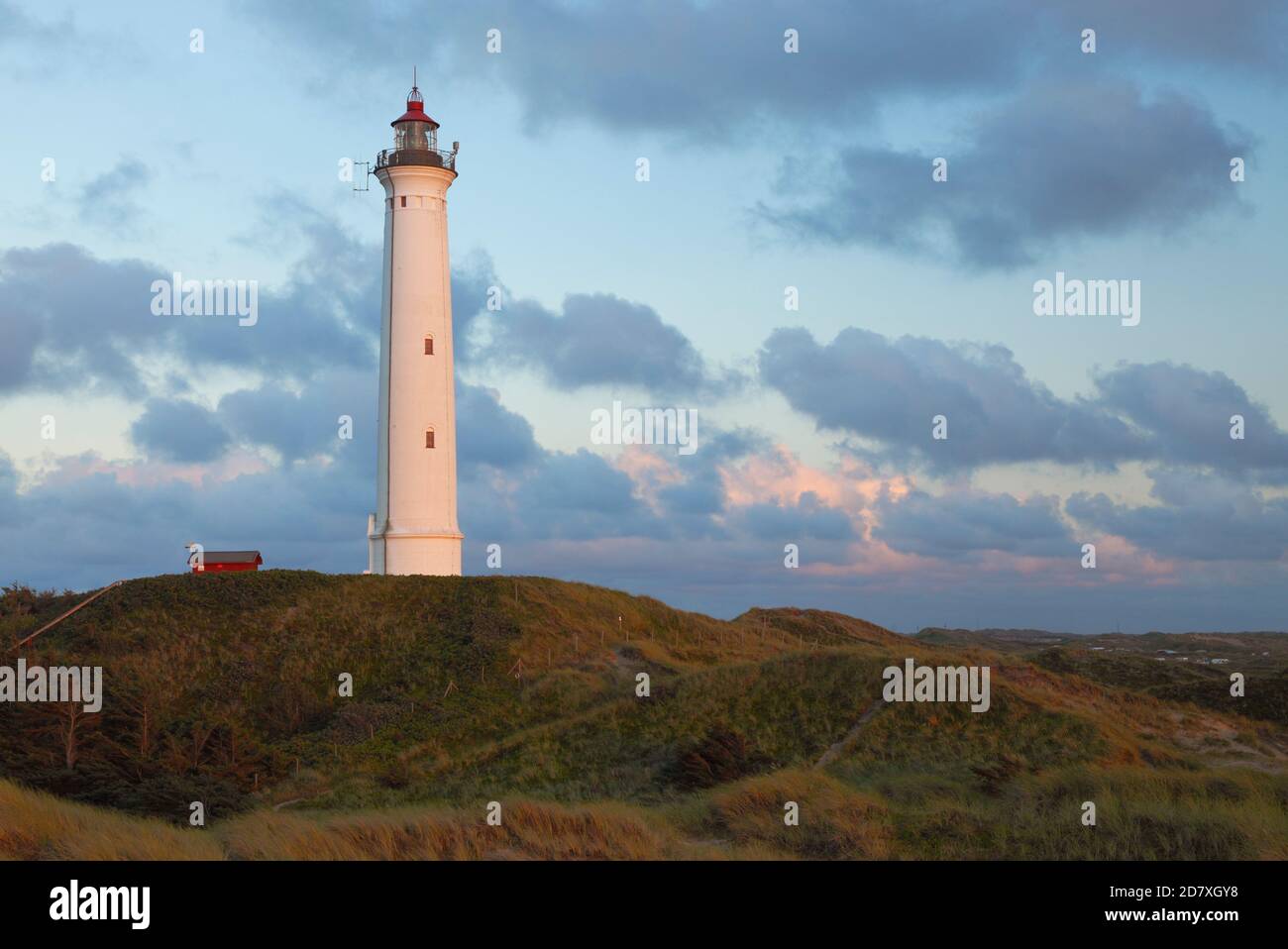 Norre Lyngvig lighthouse near Hvide Sande; Denmark; Nørre Lyngvig Fyr, Danmark Stock Photo