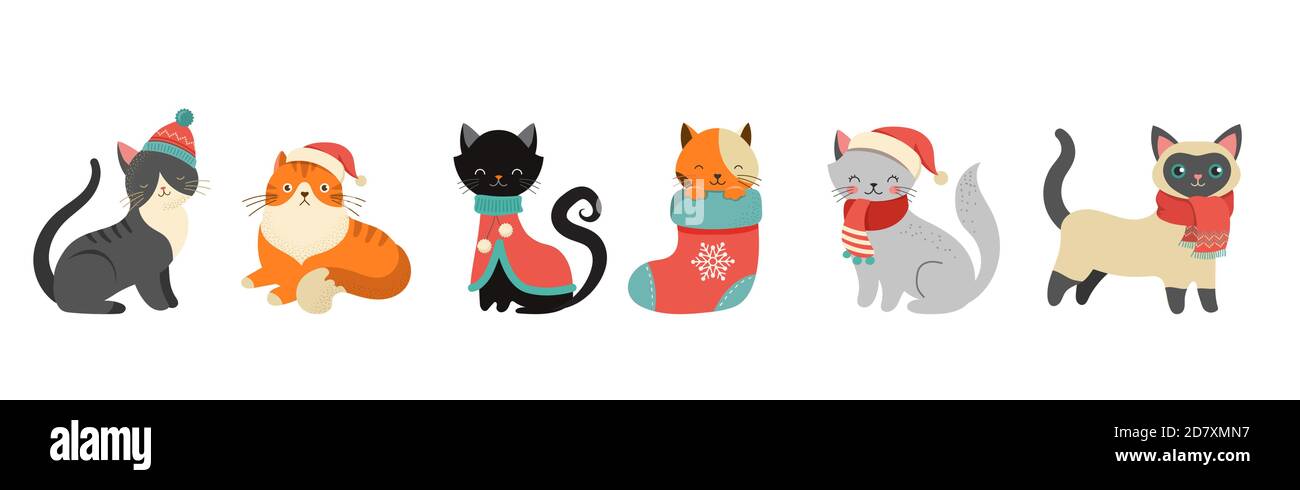 Collection of Christmas cats, Merry Christmas illustrations of cute cats with accessories like a knitted hats, sweaters, scarfs  Stock Vector