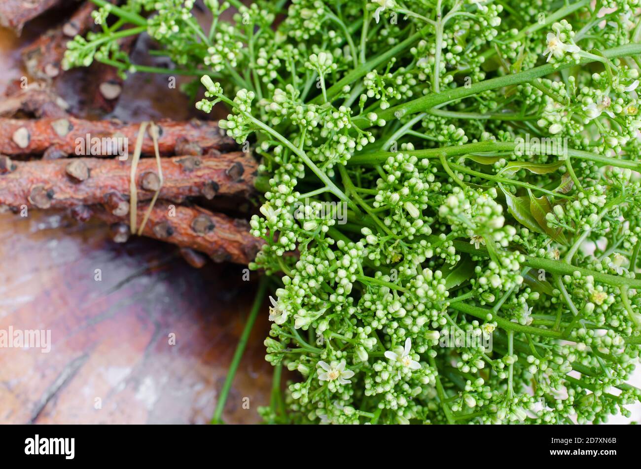 Organic Neem from Natural Farm Stock Photo - Alamy