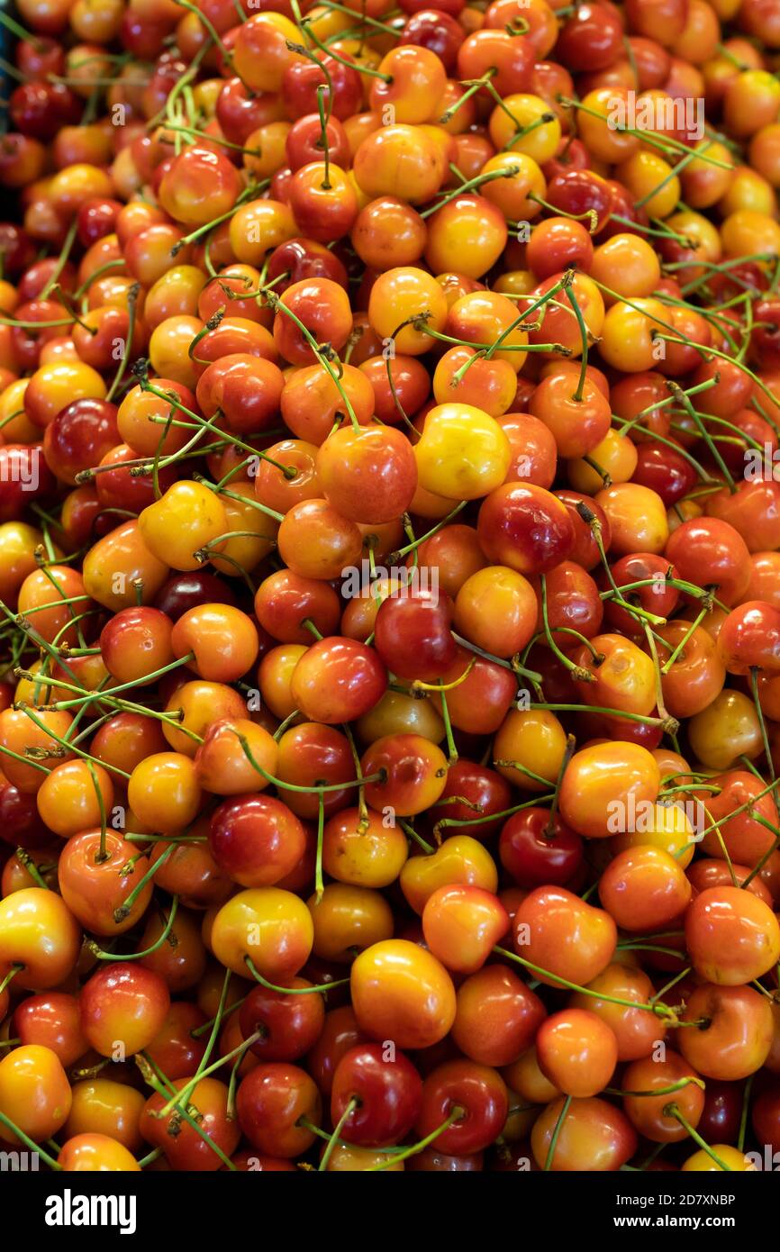 Fresh ripe yellow skinned cherries on a market stall Stock Photo