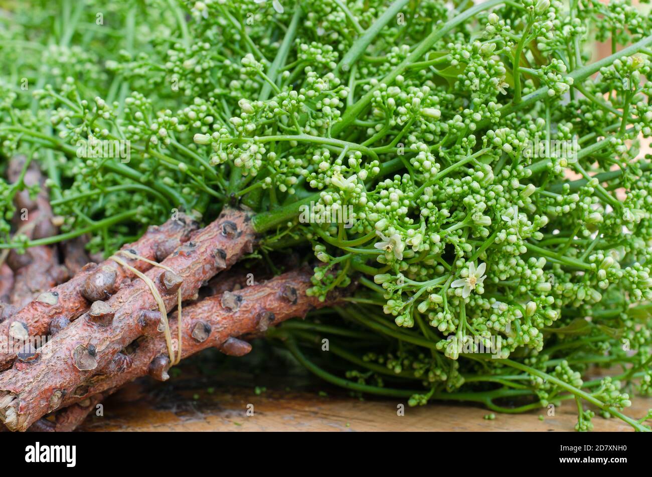 Organic Neem from Natural Farm Stock Photo - Alamy