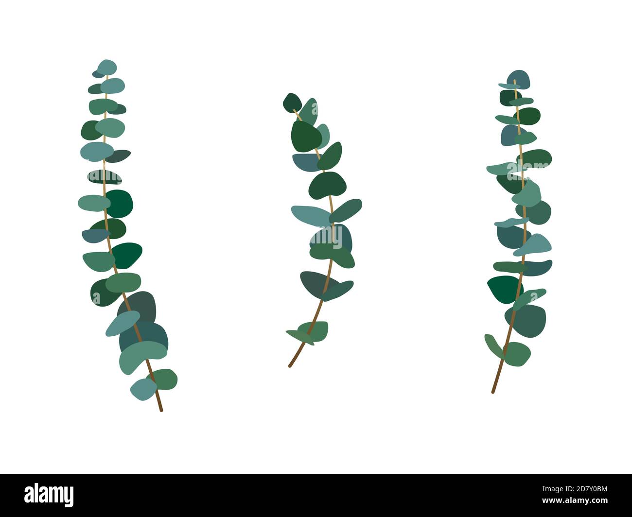 Set of eucalyptus leaves and branches in flat vector style. Set of